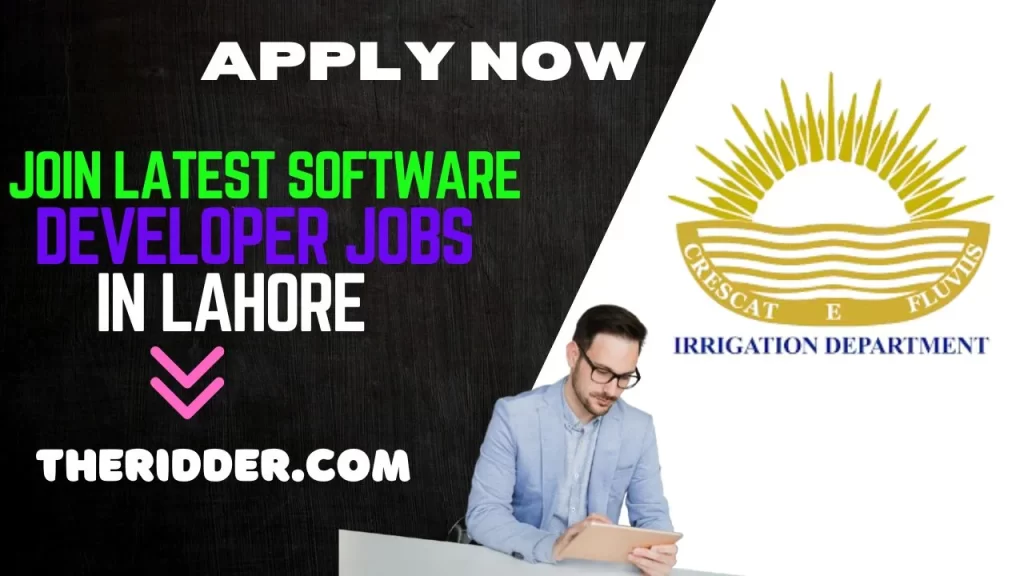 Software Developer