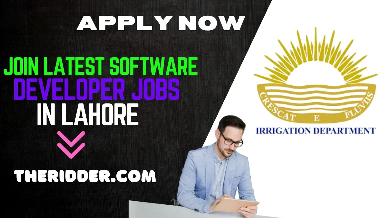 Software Developer