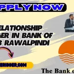 Relationship Manager